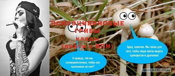 PSILOCYBIN Алексеевка